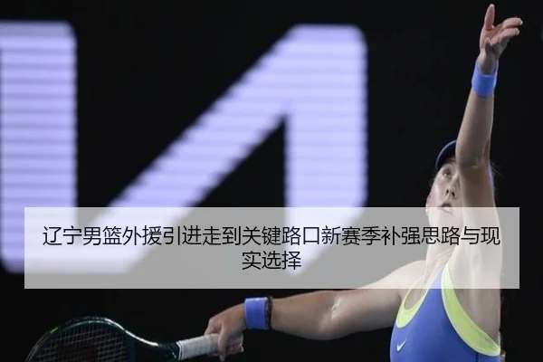 辽宁男篮外援引进走到关键路口新赛季补强思路与现实选择